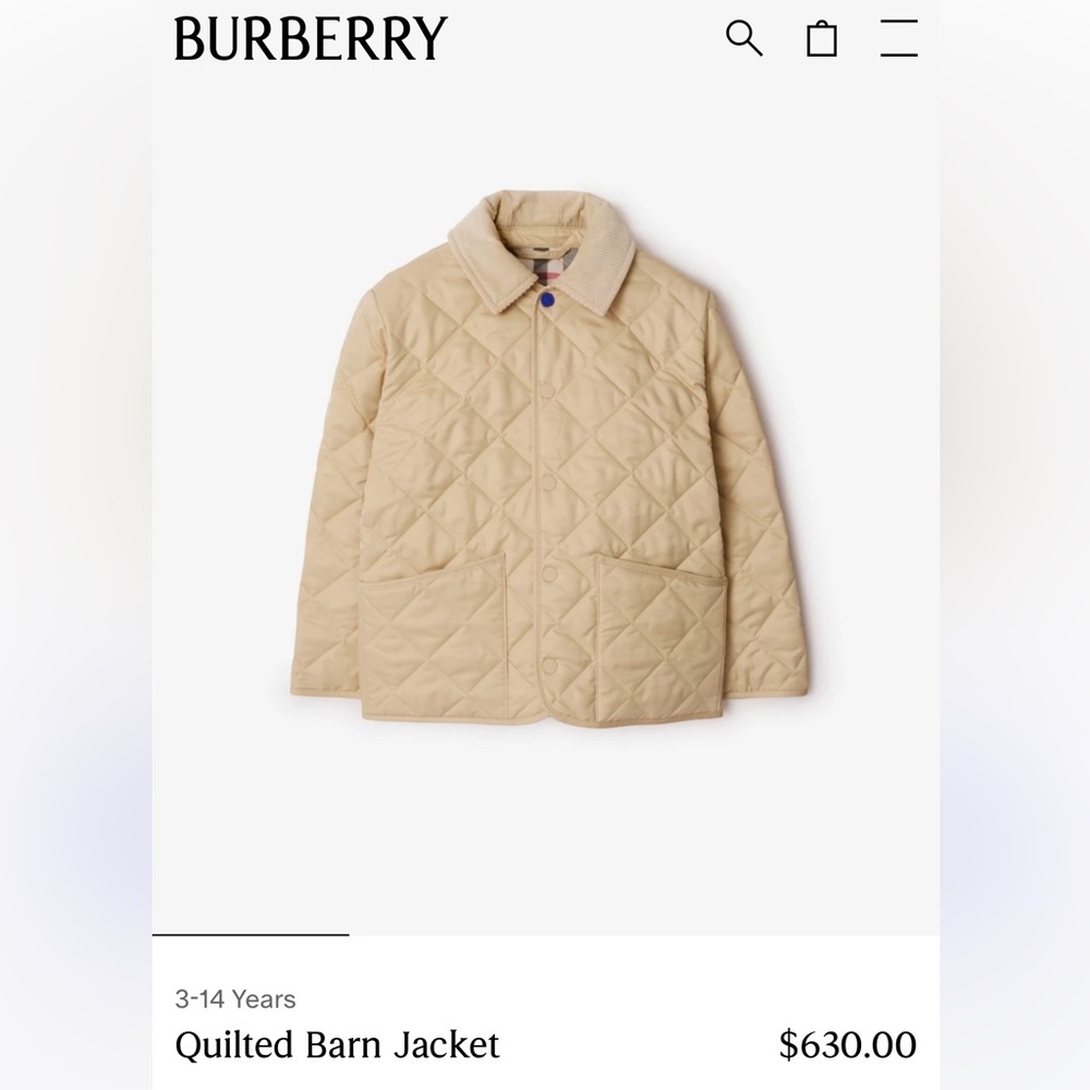 Burberry baby blue quilted coat